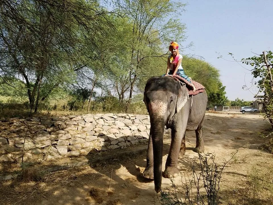 Tempo Traveller Gallery